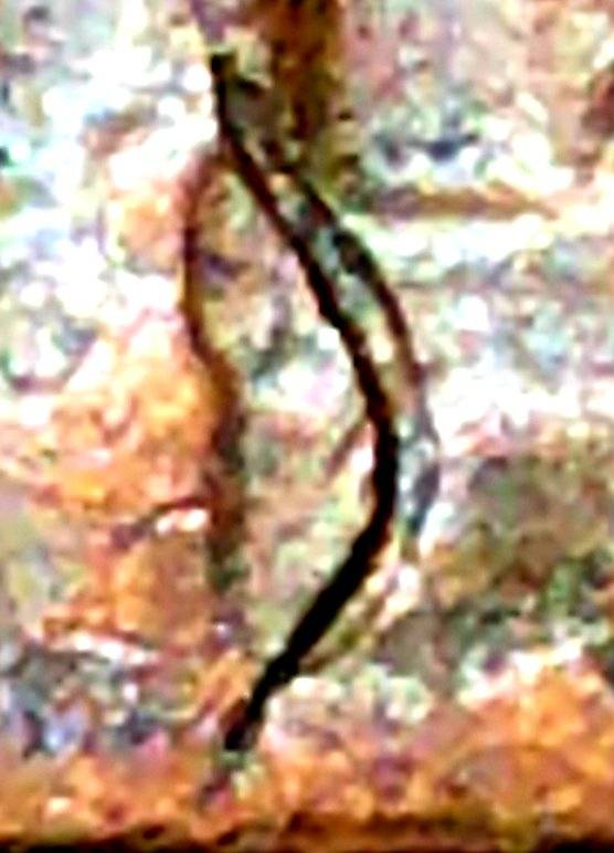 1982-D-Lincoln-Large-Date-Struck-Through-Debris-On-Memorial?